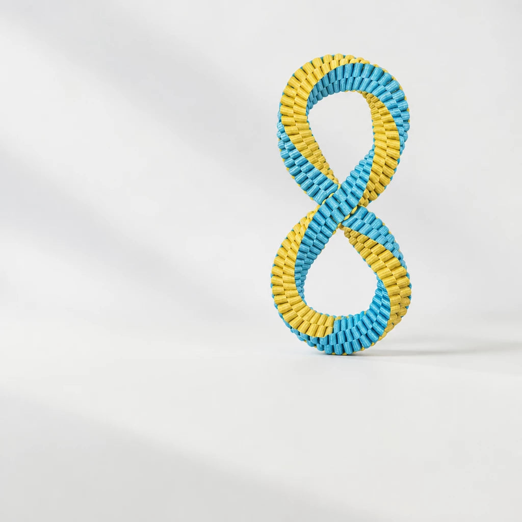 Nylon Dog Tug Toy for Interactive Play