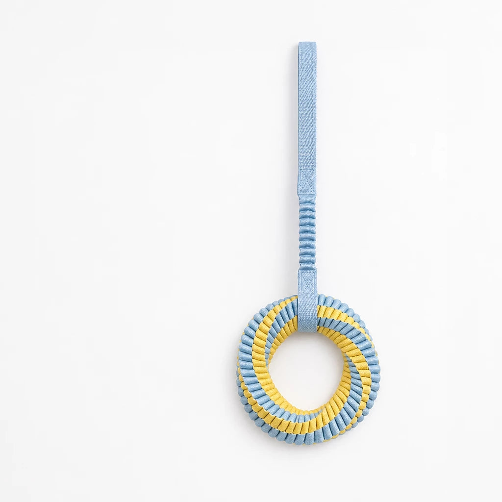Nylon Dog Tug Toy for Interactive Play