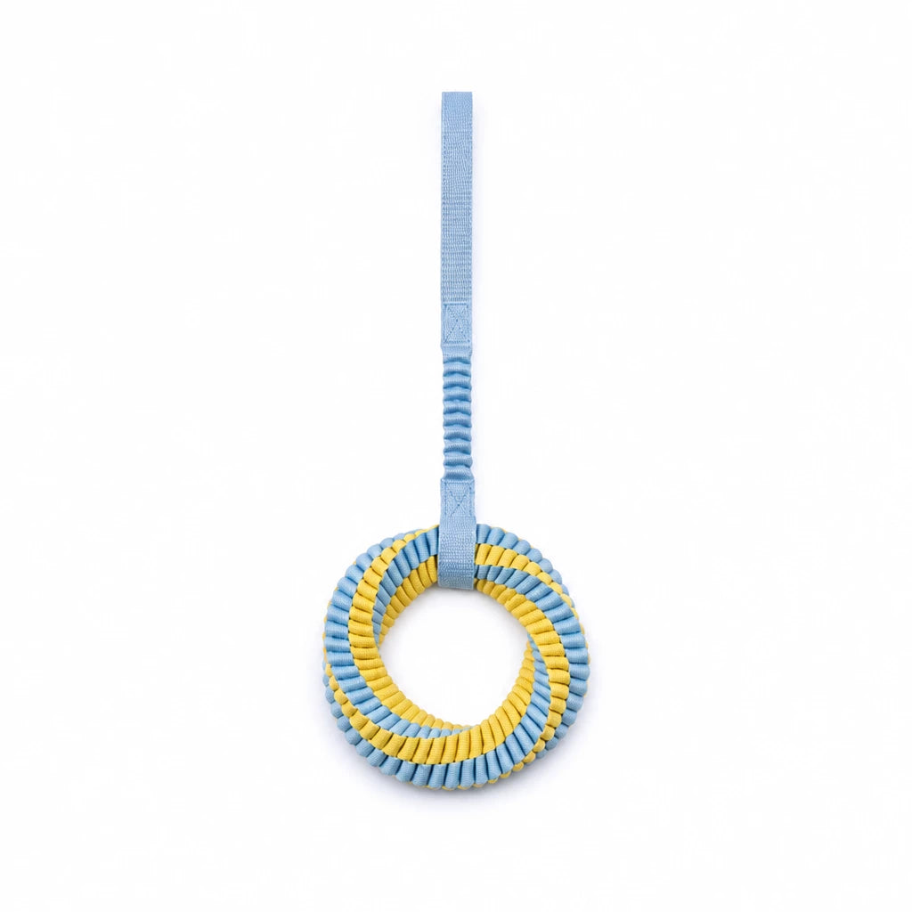 Nylon Dog Tug Toy for Interactive Play
