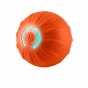 Interactive Squeaky Bouncing Ball Toy for Dogs