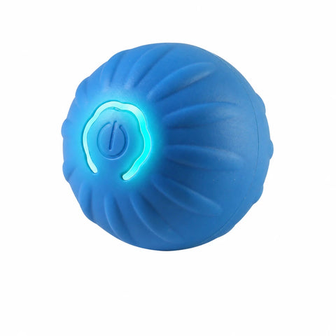 Interactive Squeaky Bouncing Ball Toy for Dogs