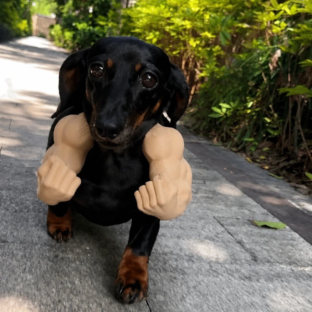 3D-Printed Pet Neck Charm for Cats and Dogs