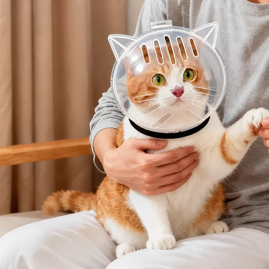 Clear Plastic Recovery Cone for Cats