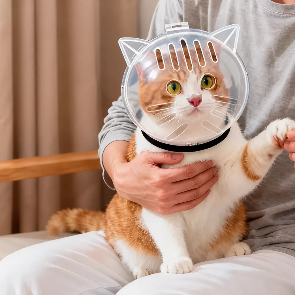 Clear Plastic Recovery Cone for Cats