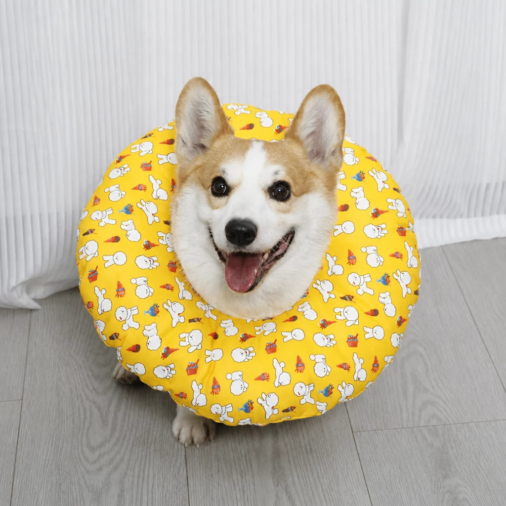 Soft Recovery Collar for Dogs