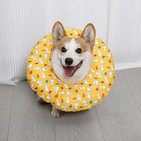 Soft Recovery Collar for Dogs