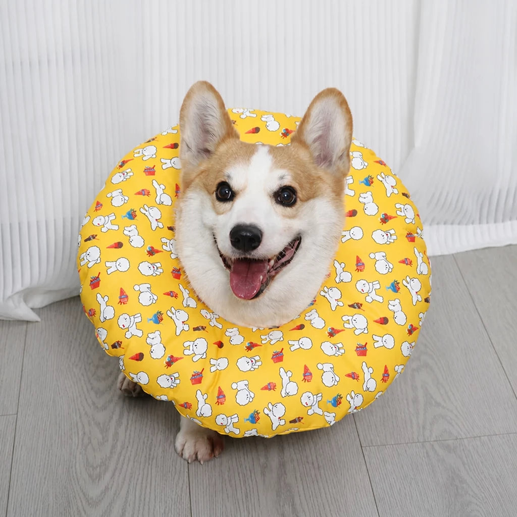 Soft Recovery Collar for Dogs