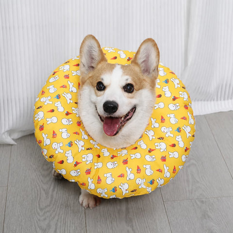 Soft Recovery Collar for Dogs