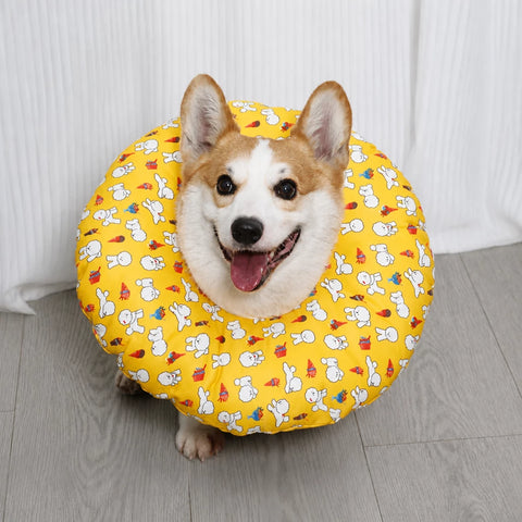 Soft Recovery Collar for Dogs