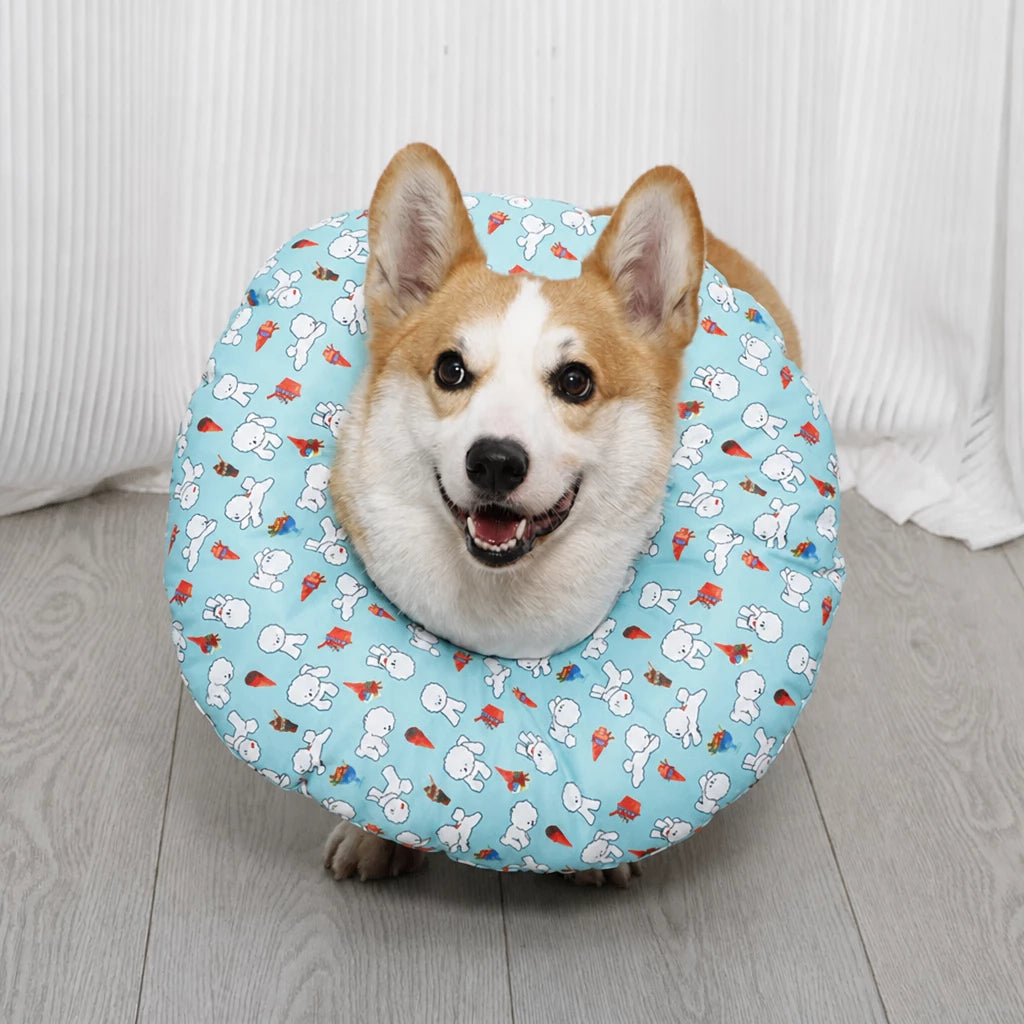 Soft Recovery Collar for Dogs