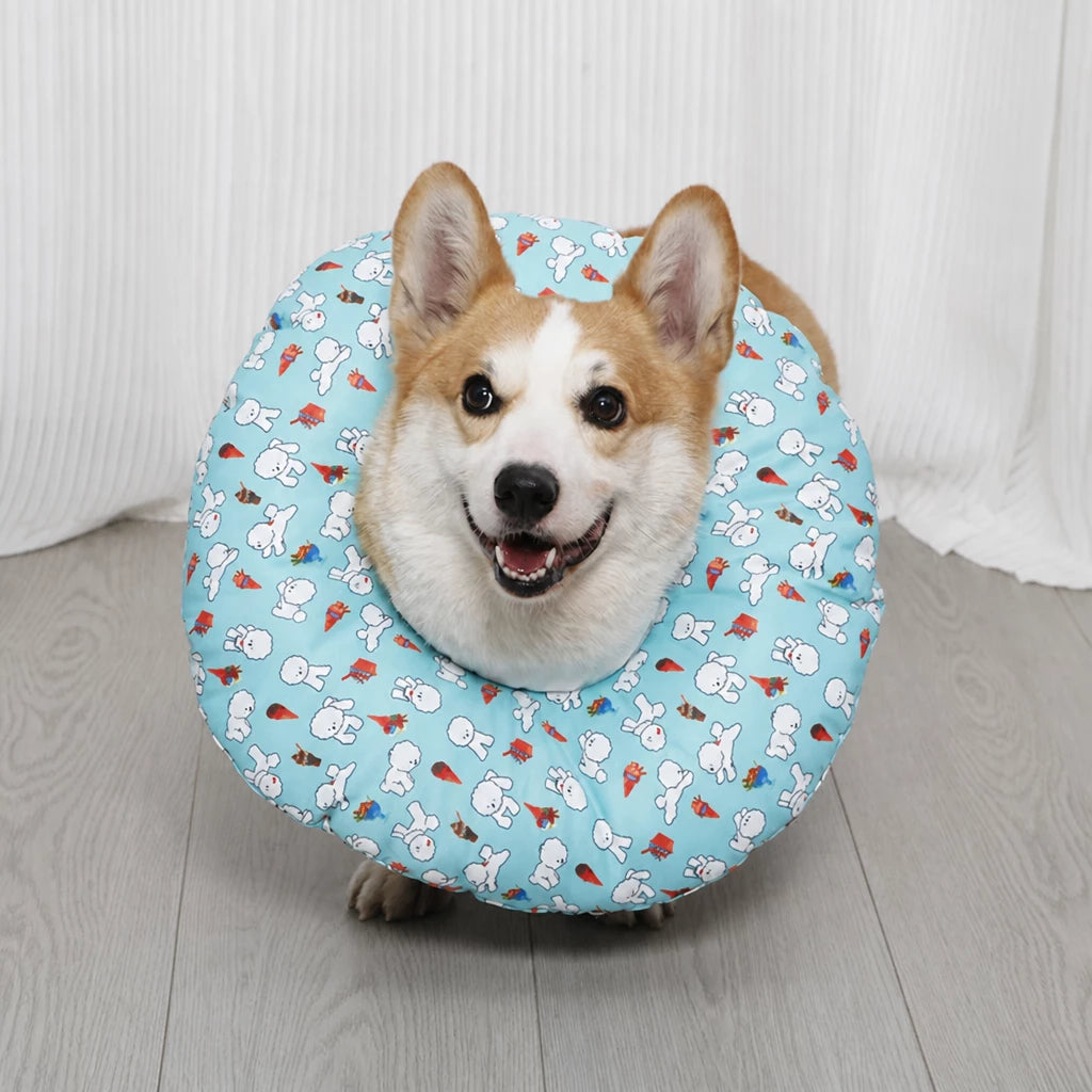 Soft Recovery Collar for Dogs