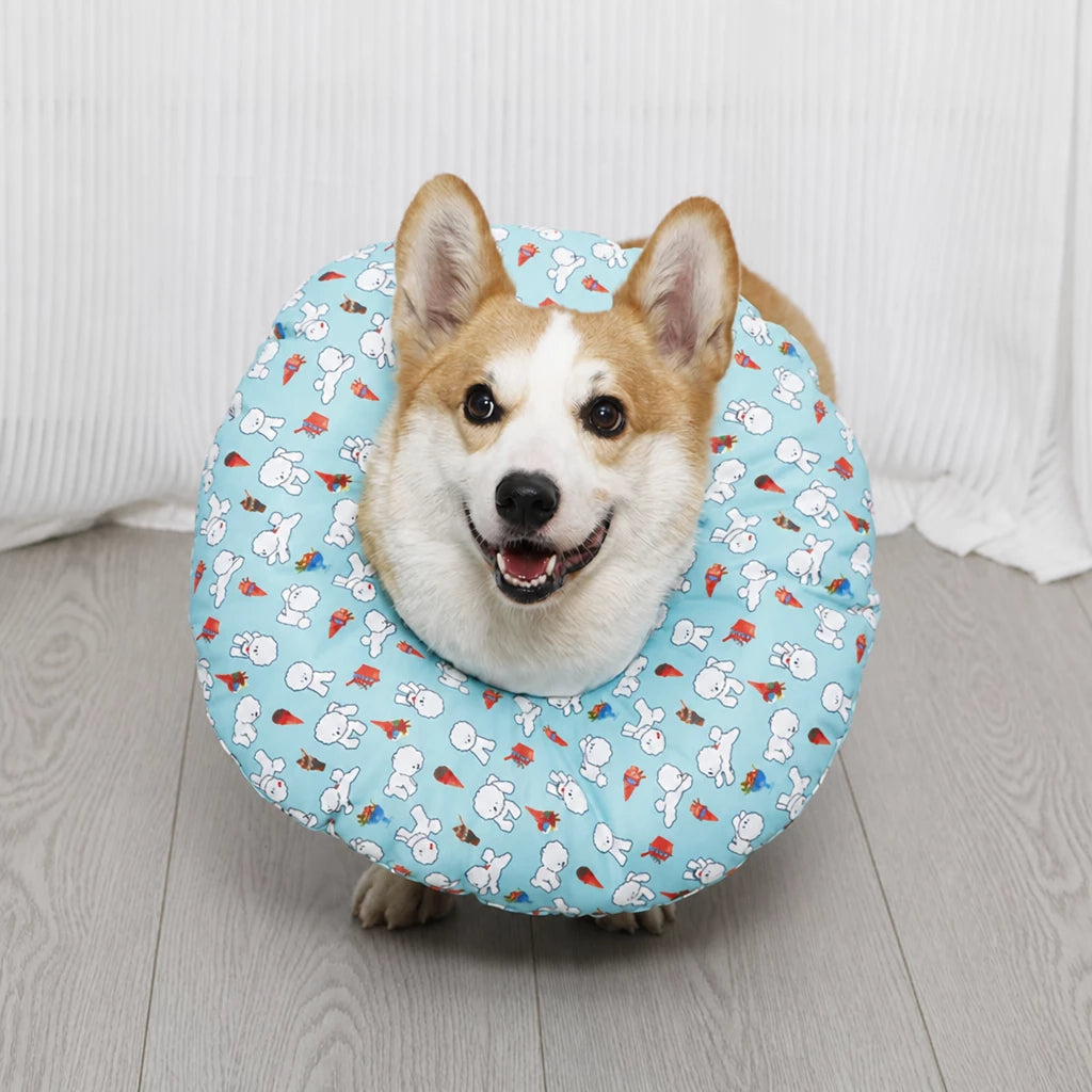 Soft Recovery Collar for Dogs
