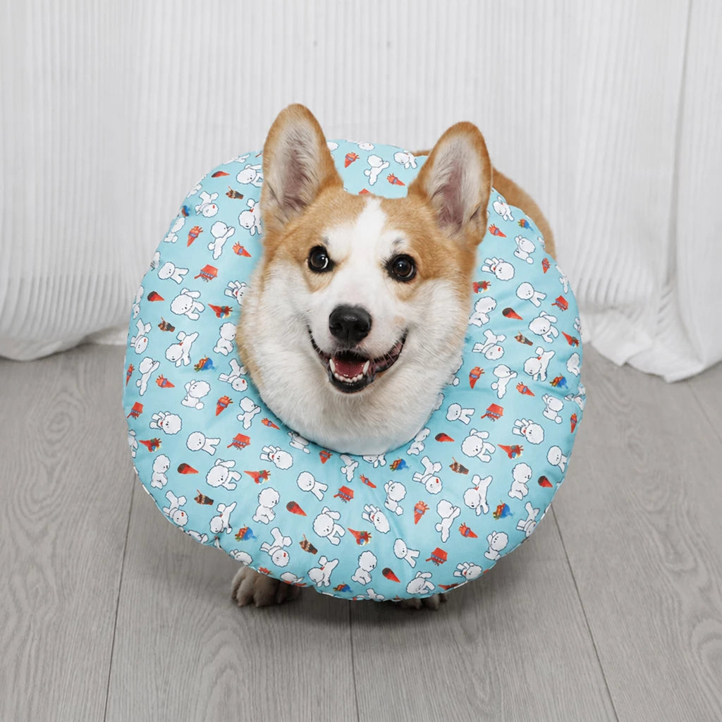 Soft Recovery Collar for Dogs