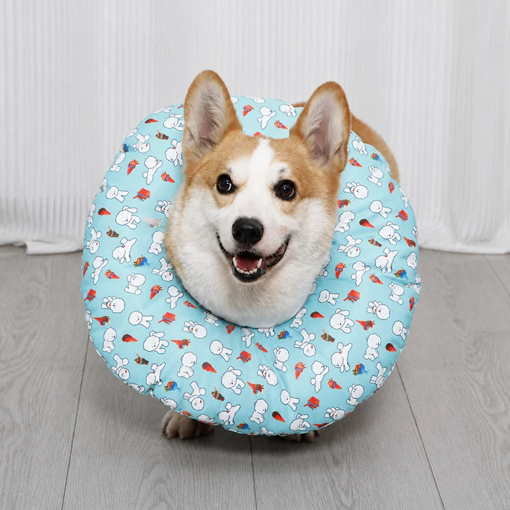 Soft Recovery Collar for Dogs