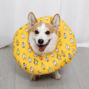 Soft Recovery Collar for Dogs