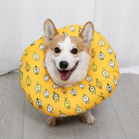 Soft Recovery Collar for Dogs