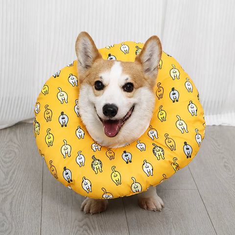 Soft Recovery Collar for Dogs
