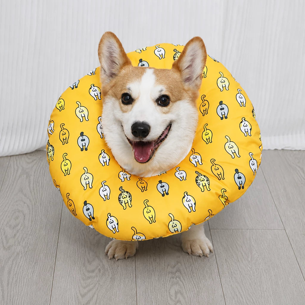Soft Recovery Collar for Dogs
