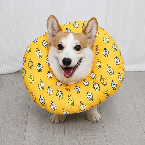 Soft Recovery Collar for Dogs