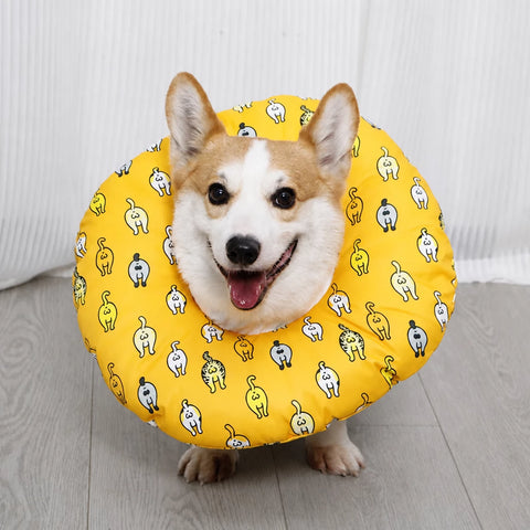 Soft Recovery Collar for Dogs