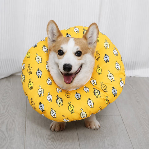 Soft Recovery Collar for Dogs