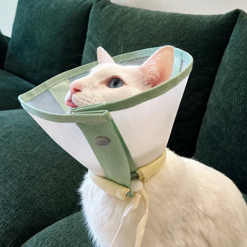 Lightweight Pet Recovery Collar for Dogs & Cats