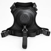 Nylon Dog Harness with Retractable Leash
