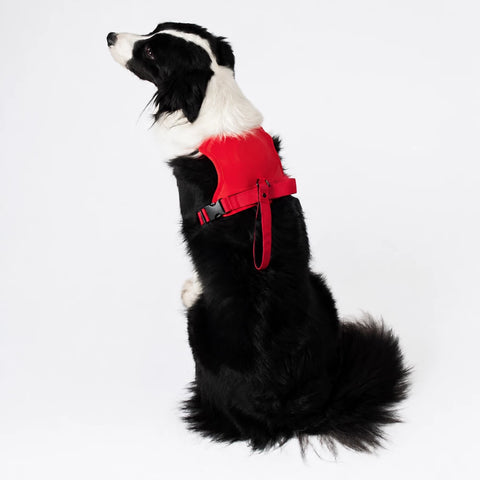 Nylon Dog Harness with Retractable Leash