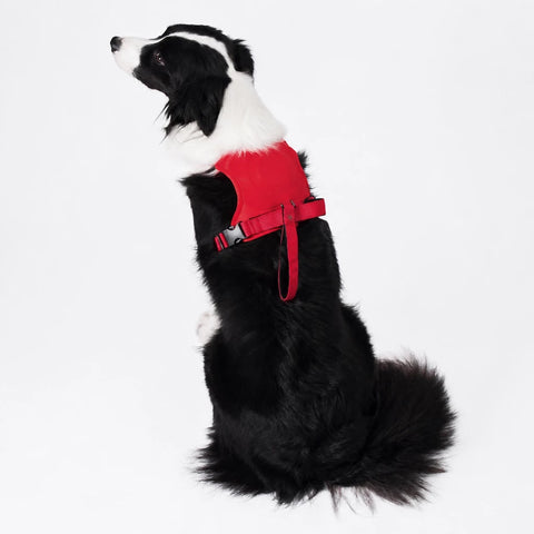 Nylon Dog Harness with Retractable Leash
