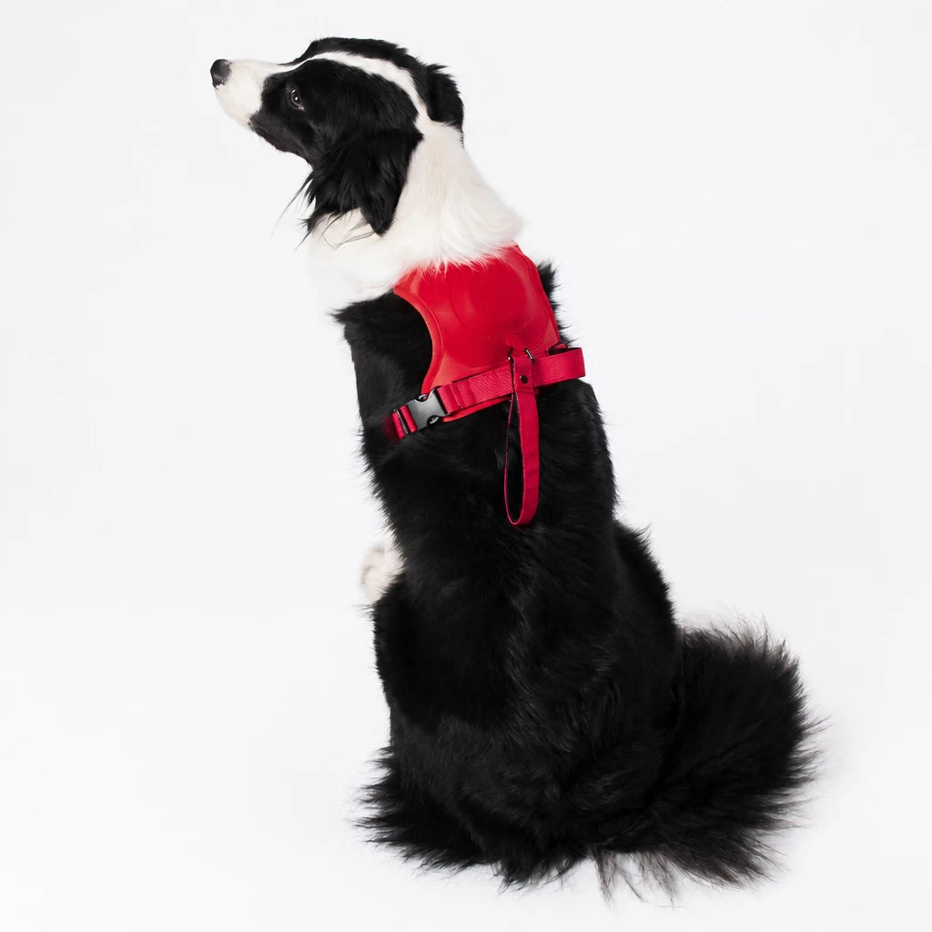 Nylon Dog Harness with Retractable Leash
