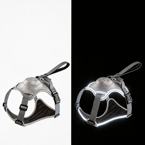 Nylon Dog Harness with Retractable Leash