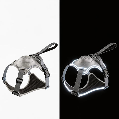 Nylon Dog Harness with Retractable Leash