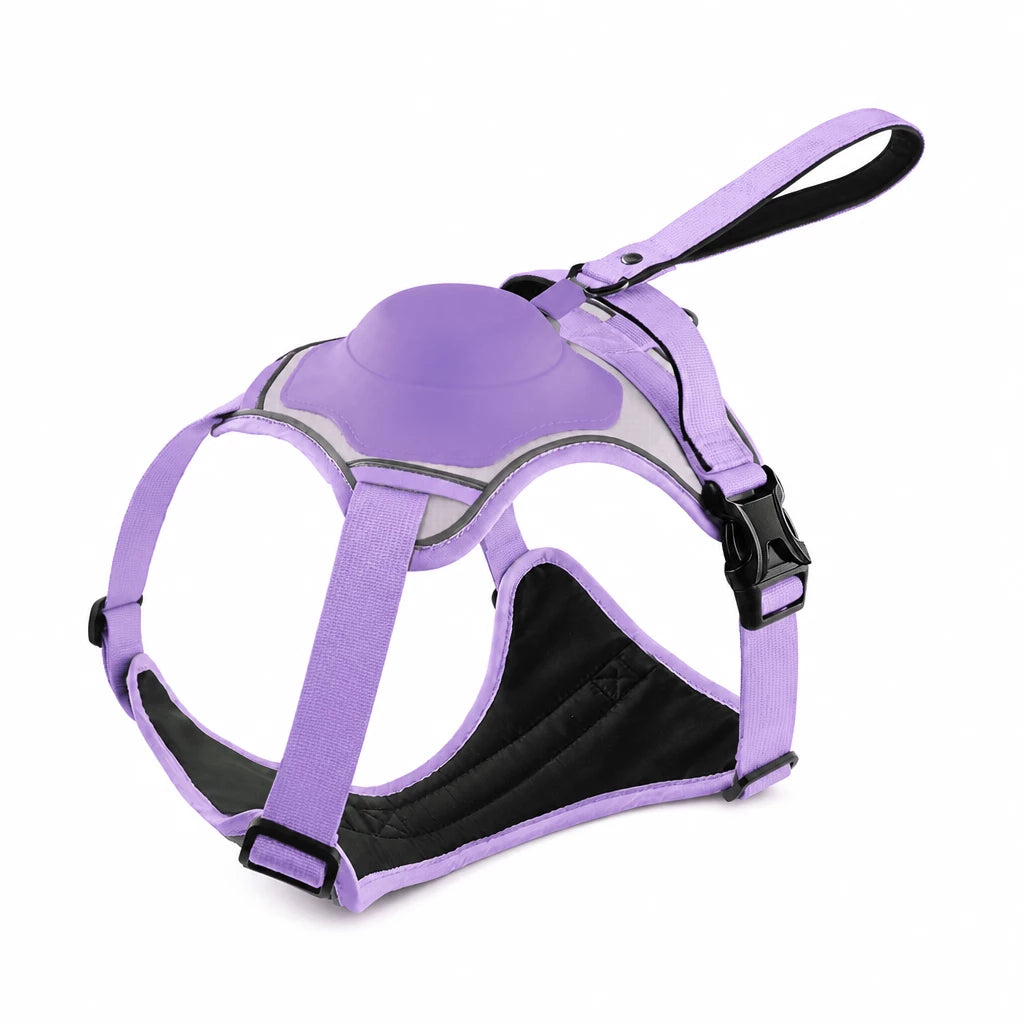 All-in-One Dog Harness with Leash