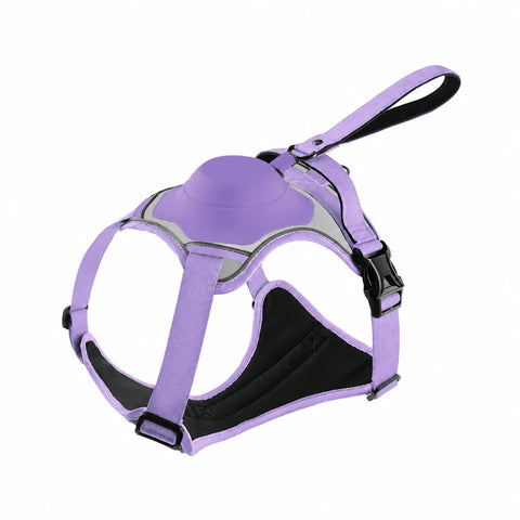 All-in-One Dog Harness with Leash