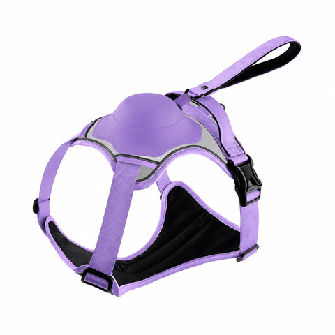 All-in-One Dog Harness with Leash
