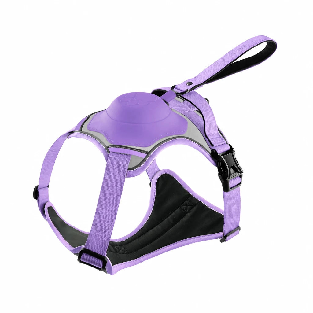 All-in-One Dog Harness with Leash