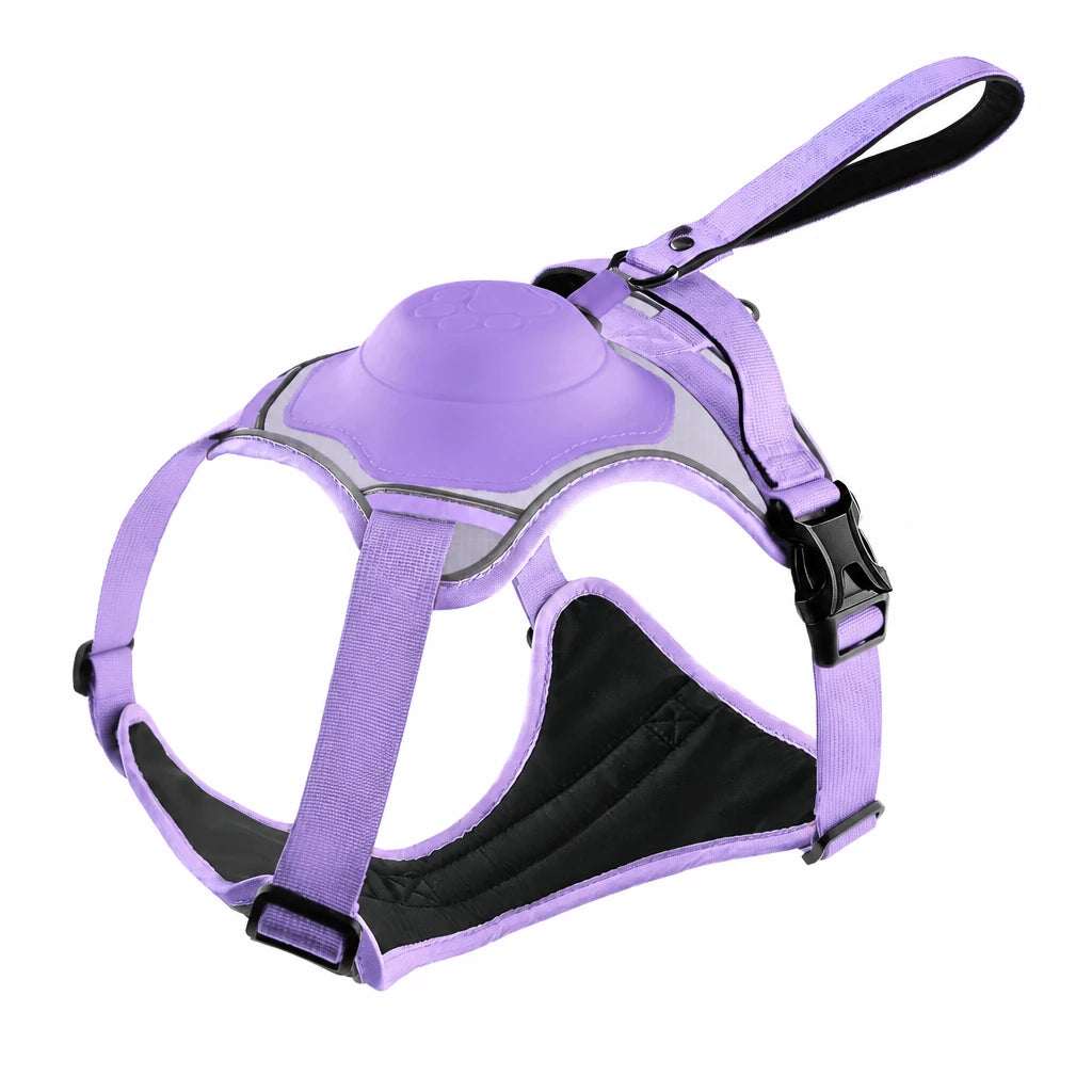 All-in-One Dog Harness with Leash