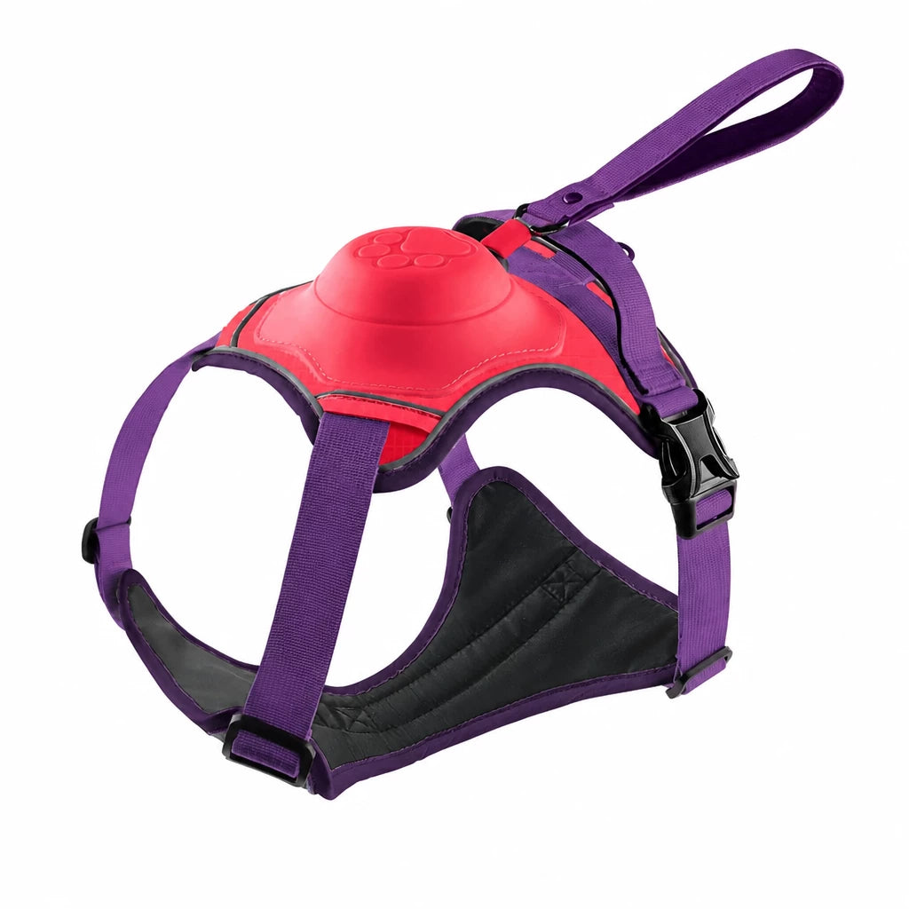All-in-One Dog Harness with Leash