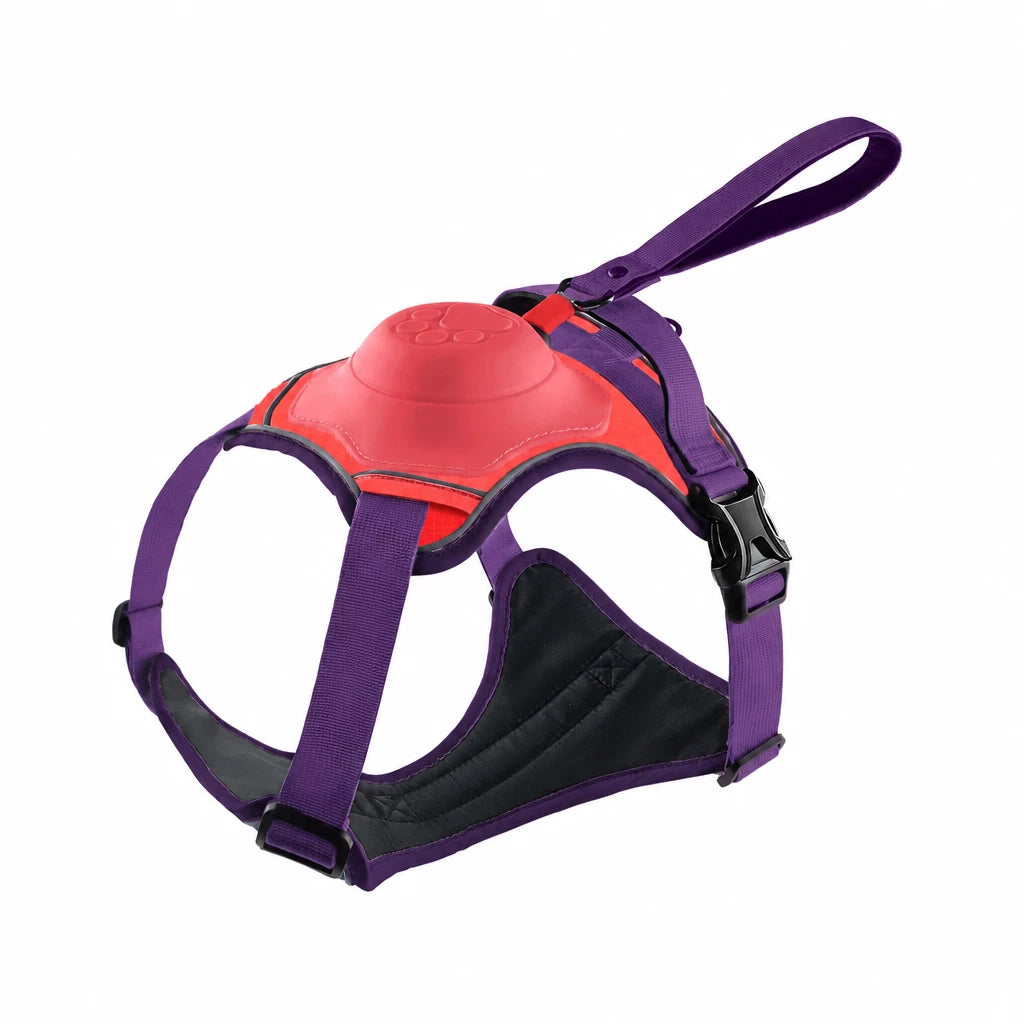 All-in-One Dog Harness with Leash
