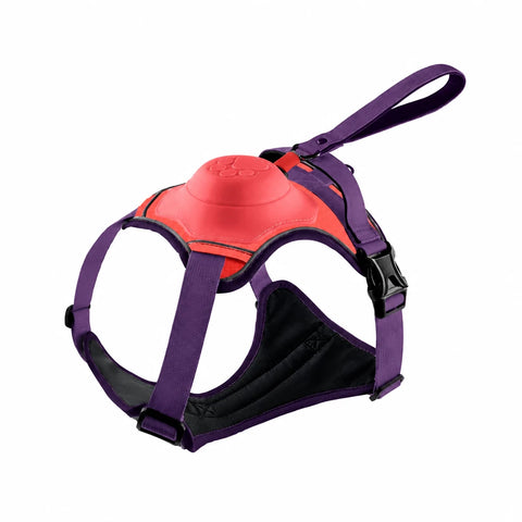 All-in-One Dog Harness with Leash