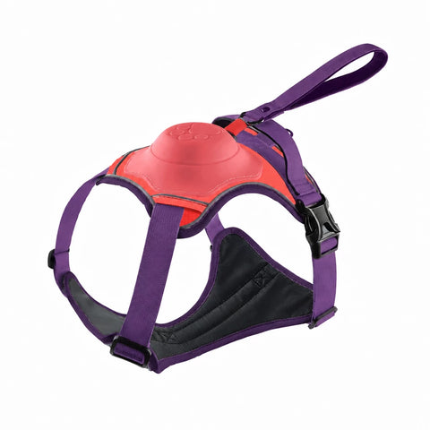 All-in-One Dog Harness with Leash