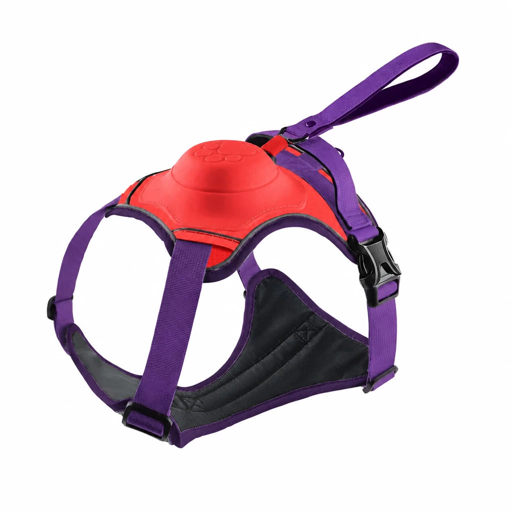 All-in-One Dog Harness with Leash