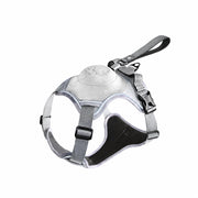 All-in-One Dog Harness with Leash