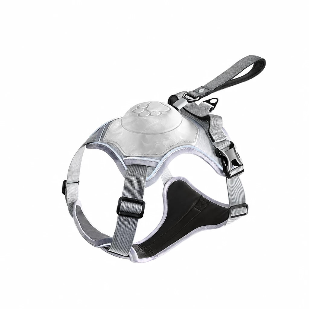 All-in-One Dog Harness with Leash