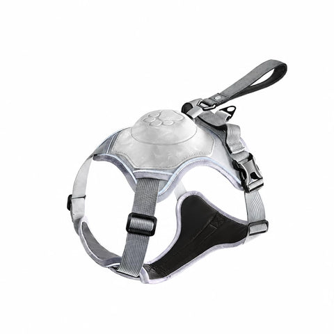 All-in-One Dog Harness with Leash
