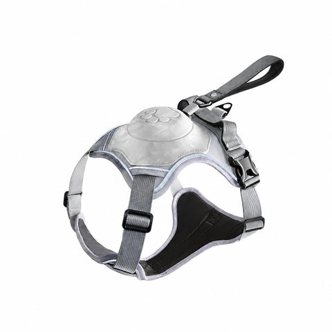 All-in-One Dog Harness with Leash