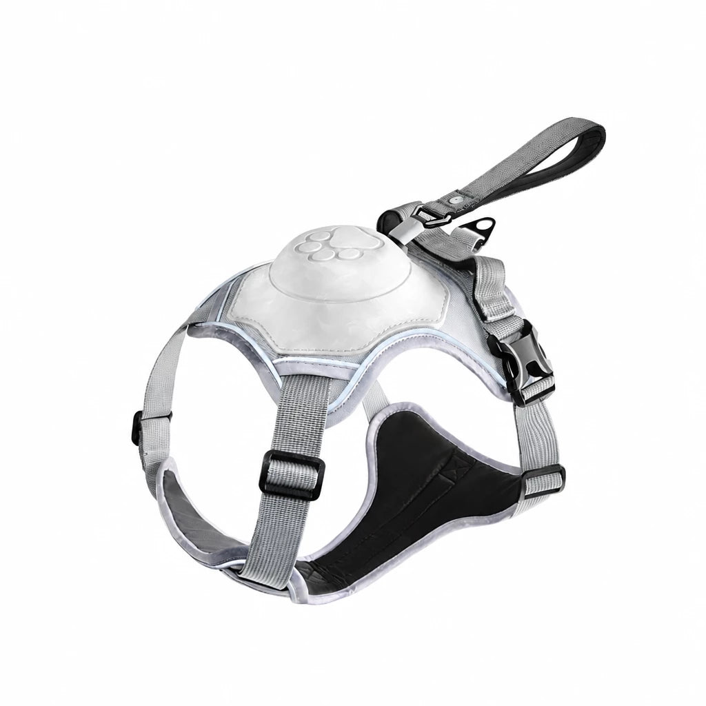 All-in-One Dog Harness with Leash