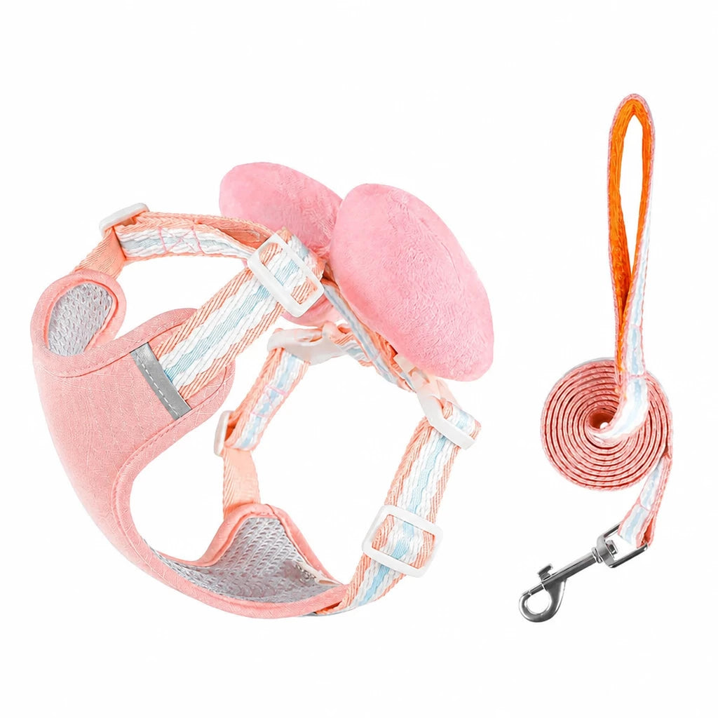 Bow Vest Harness and Leash for Small Dogs