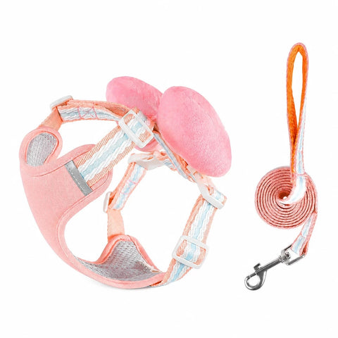 Bow Vest Harness and Leash for Small Dogs