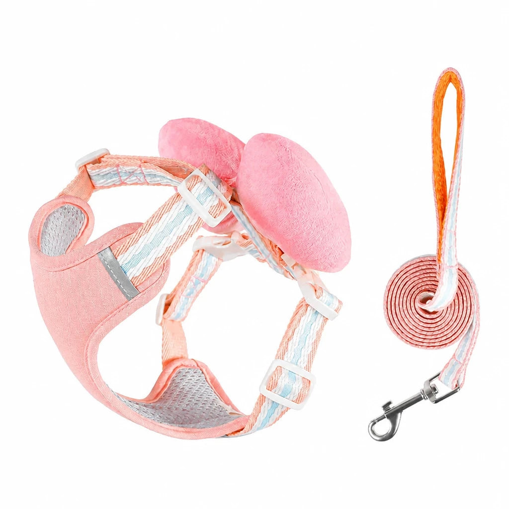 Bow Vest Harness and Leash for Small Dogs